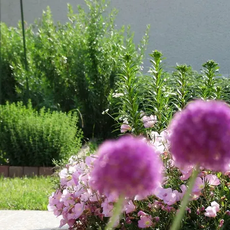 Appartement House Magnolia *